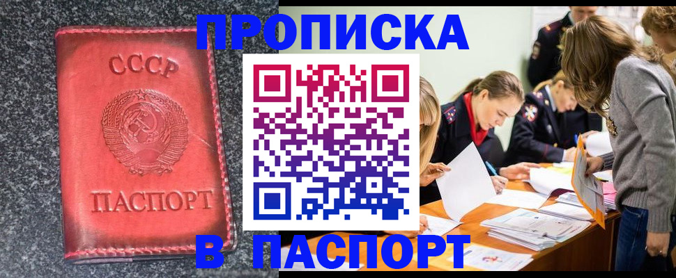 прописка для школы в Заполярном